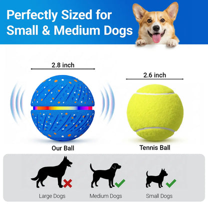 Automated Interactive Dog Ball Toy for Small to Medium Breeds, LED Illuminated, USB Rechargeable Fetch Toy for Indoor and Outdoor Activities