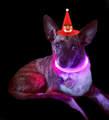 LED Rechargeable Pet Collar - Light-Up Dog and Cat Collar for Christmas Decoration and Gifting
