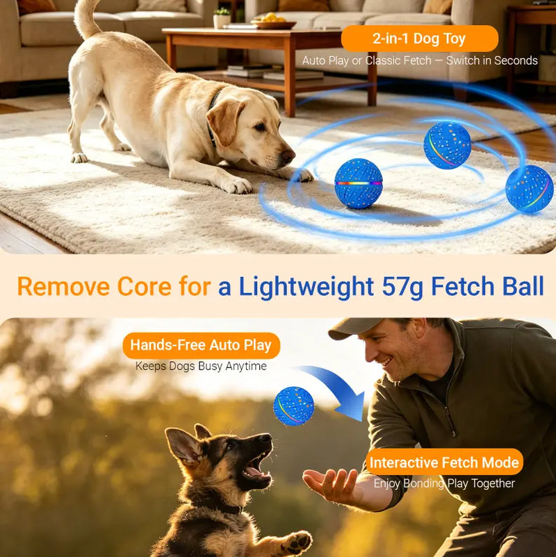 Automated Interactive Dog Ball Toy for Small to Medium Breeds, LED Illuminated, USB Rechargeable Fetch Toy for Indoor and Outdoor Activities
