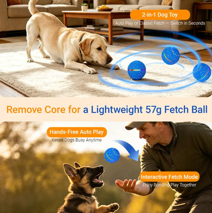 Automated Interactive Dog Ball Toy for Small to Medium Breeds, LED Illuminated, USB Rechargeable Fetch Toy for Indoor and Outdoor Activities