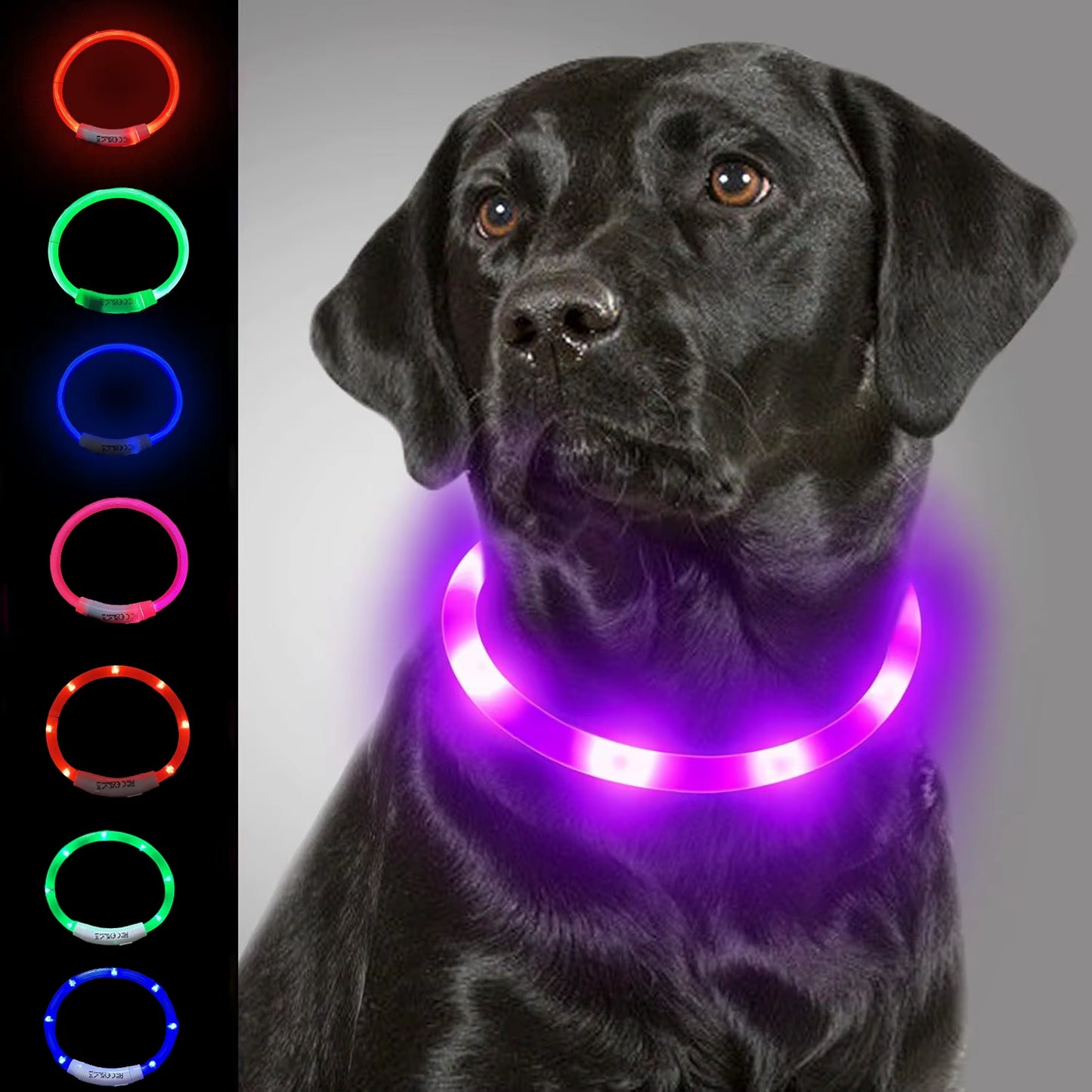 LED Rechargeable Pet Collar - Light-Up Dog and Cat Collar for Christmas Decoration and Gifting