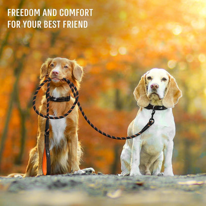 Durable Dog Rope Leash with Ergonomic Padded Handle and Reflective Threads, Suitable for Small, Medium, and Large Dogs - Ideal for Training, Running, and Walking