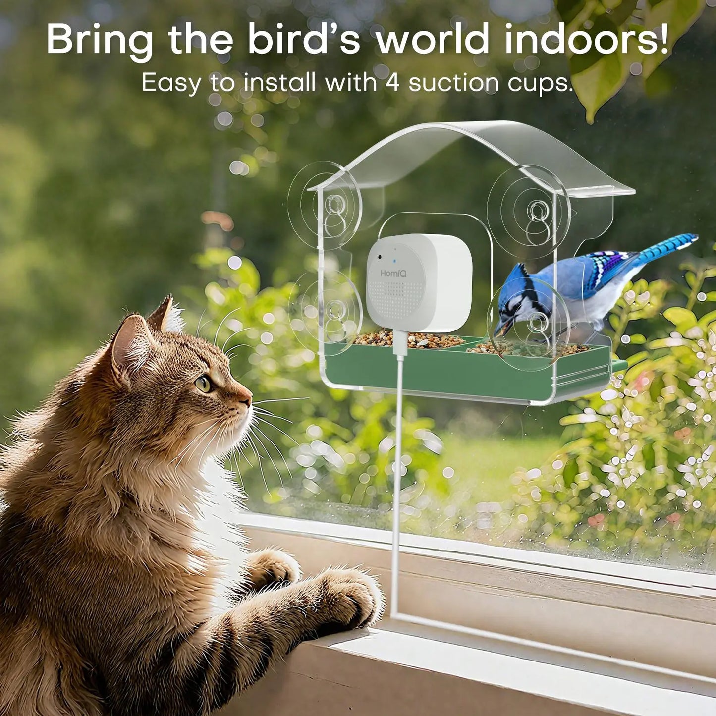 Homiq Ai Smart Window Bird Feeder with Close-Focus Camera, 2K HD Camera for Window Viewing, AI Bird Species Recognition & Instant Alerts, Strong Acrylic Bird Feeder,Great Gift for Kids & Bird Lovers