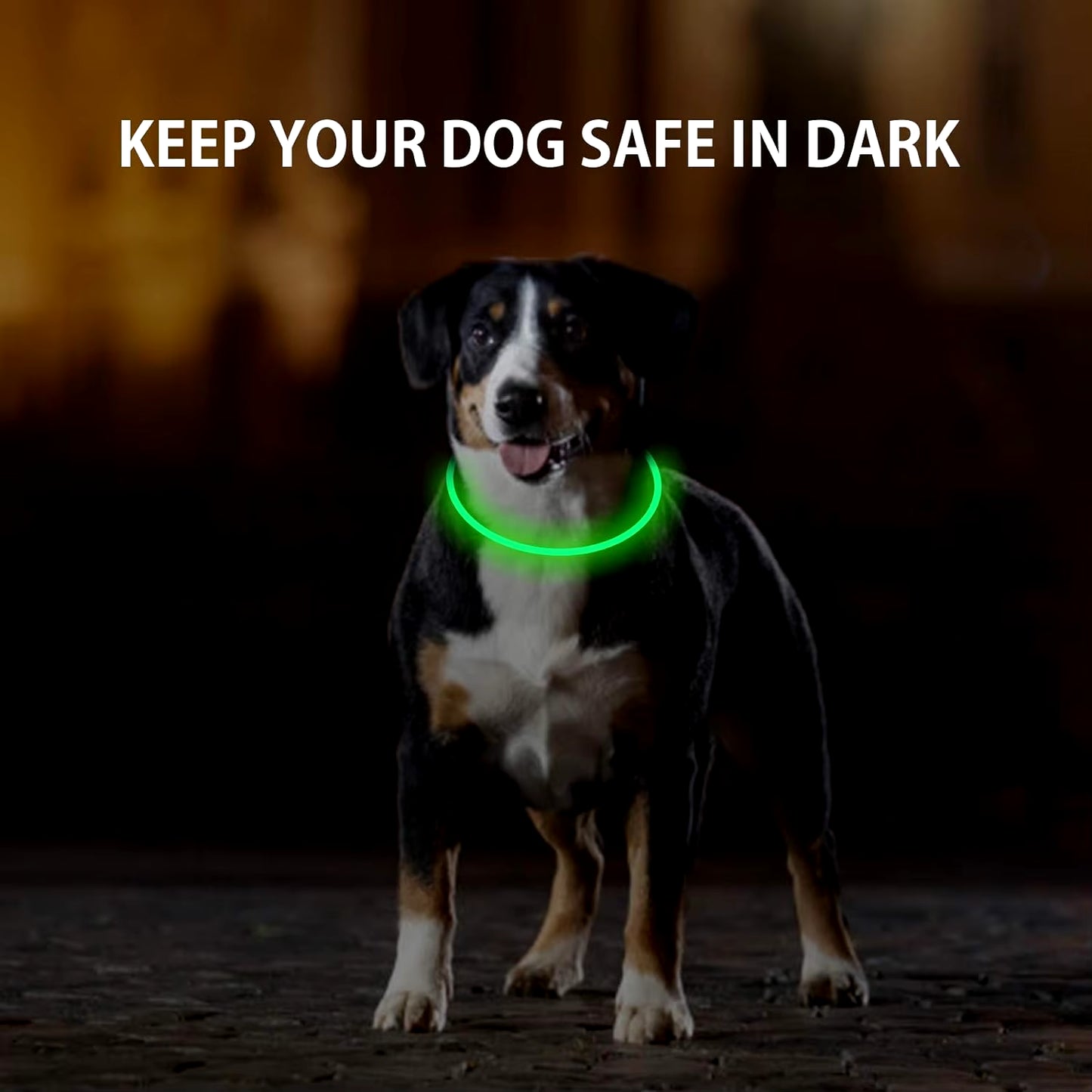 LED Rechargeable Pet Collar - Light-Up Dog and Cat Collar for Christmas Decoration and Gifting