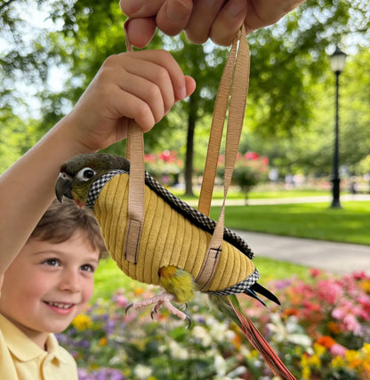 Parrot External Handbag Parrot Handle Bag Bird-Walking Gadget Parrot Nail Clipper Fixation Anti-Flying Parrot Outdoor Bag
