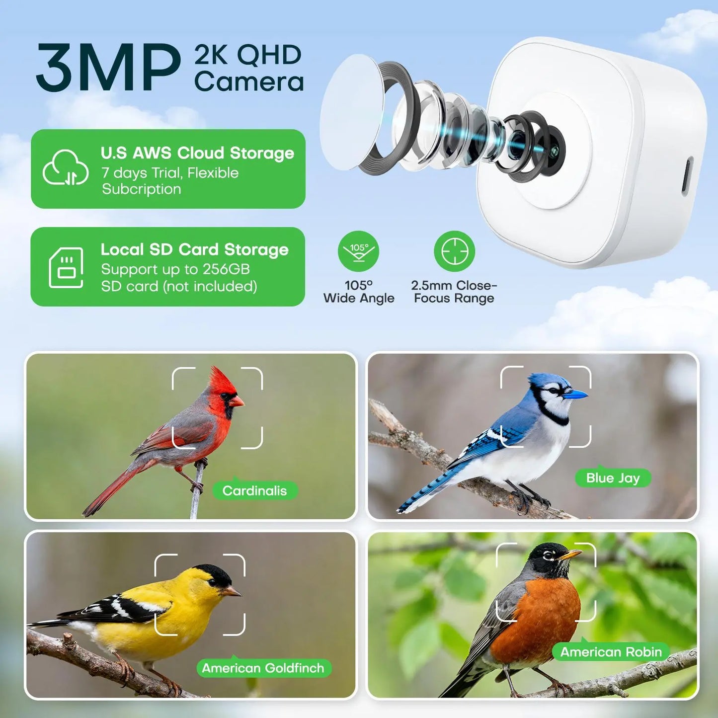Homiq Ai Smart Window Bird Feeder with Close-Focus Camera, 2K HD Camera for Window Viewing, AI Bird Species Recognition & Instant Alerts, Strong Acrylic Bird Feeder,Great Gift for Kids & Bird Lovers