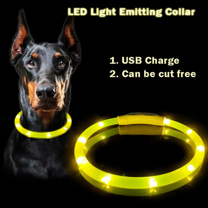 LED Rechargeable Pet Collar - Light-Up Dog and Cat Collar for Christmas Decoration and Gifting